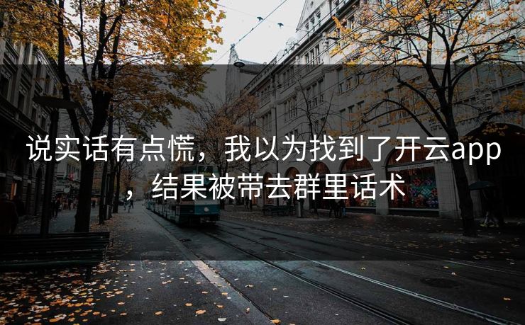说实话有点慌，我以为找到了开云app，结果被带去群里话术